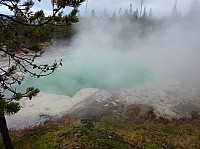 Yellowstone Norris Geyser (6).JPG